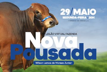 15º LEILÃO BRAHMAN FAZENDA NOVA POUSADA